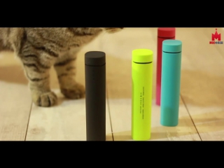 POWER BANK MUSIK 3 В 1. Полный обзор.