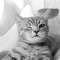 Джамал Хусейнов