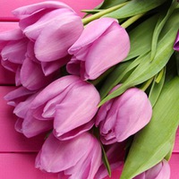 Цветочный Лянтор-Сити