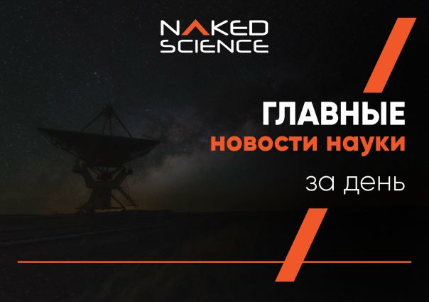 Итоги дня: 