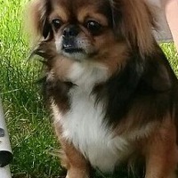 Надежда Румянцева | Москва