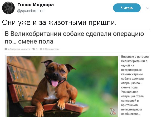 Они уже и за животными пришли Они уже и за животными пришли