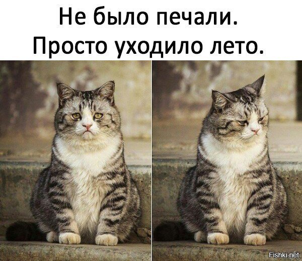 Не было печали, просто уходило лето Не было печали, просто уходило лето