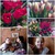 Фото пользователя Галчонок