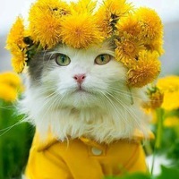 Марина Еловикова
