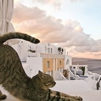 Ольга Ветрова