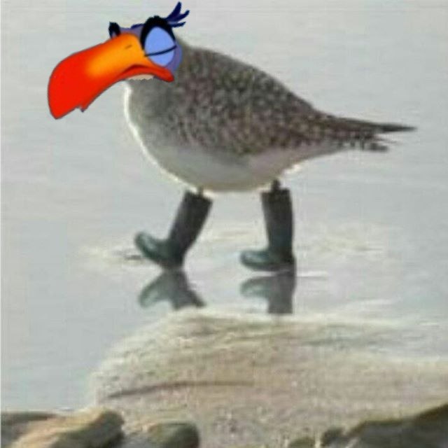 https://pp.userapi.com/c836731/v836731867/4598d/DVi1TXFuBYc.jpg