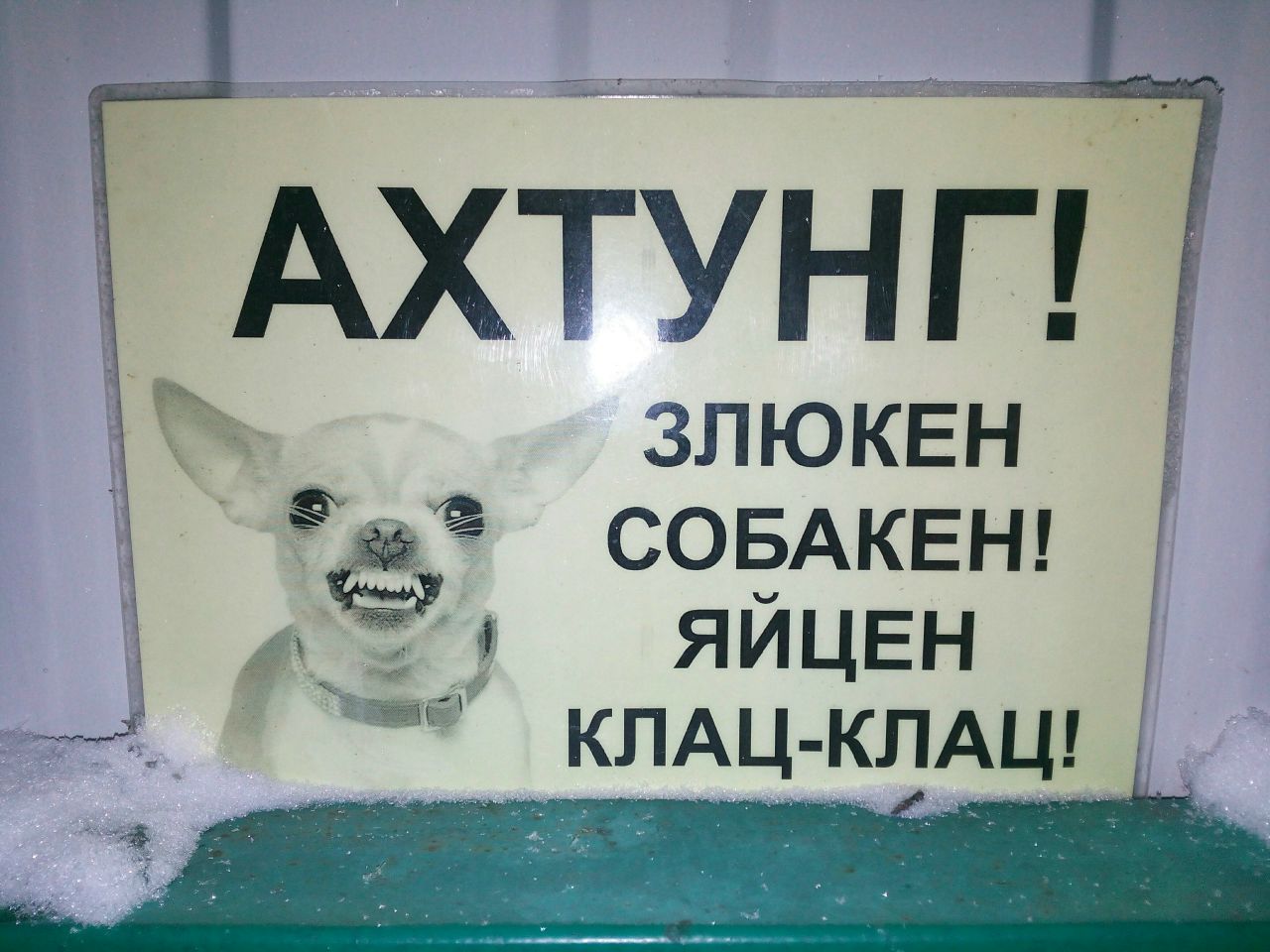 Картинки ахтунг злюкен собакен