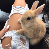 Инночка Дудко