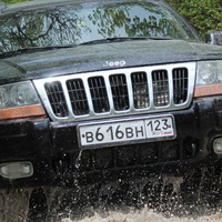 Николай Радченко