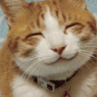 Александр Гринь | Сургут