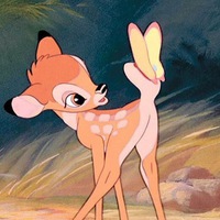 Алёна Белая