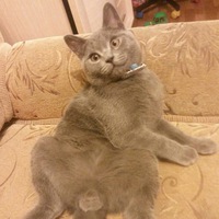 Рома Снегов | 