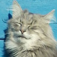 Людмила Бербек