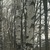 Фото пользователя Марина