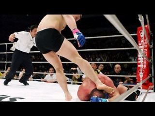 Mirko ''Cro Cop'' Vs Mark Coleman