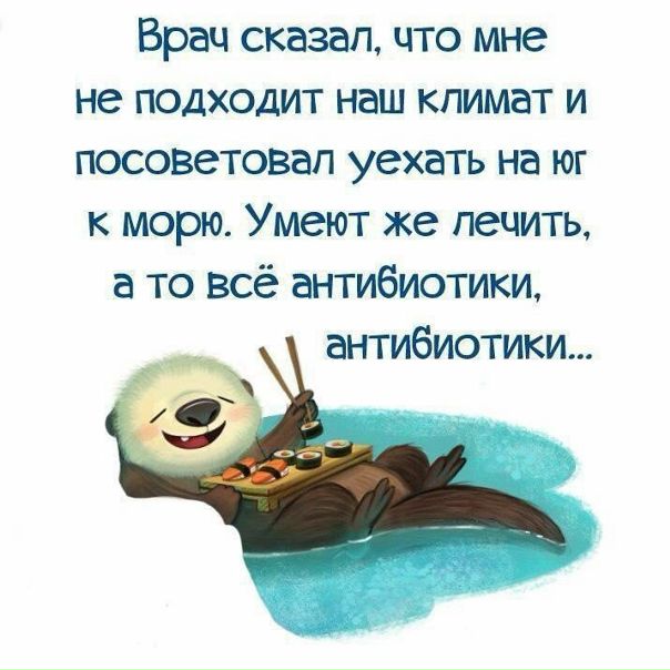 #humor@toptrips