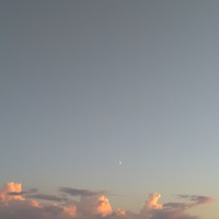 Ольга Олькина |