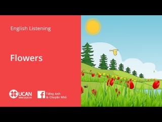 Learn English Listening | Beginner - Lesson 31. Flowers