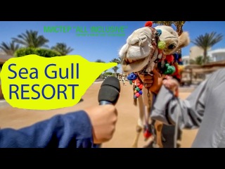 ЕГИПЕТ - Хургада отель Sea Gull Resort Hurghada (красное море , влог) HD