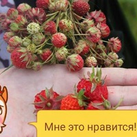 Галина Клепикова | 