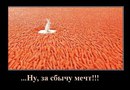 Объявление от Ирина - фото №1