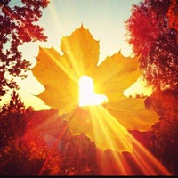 Татьяна Афонина