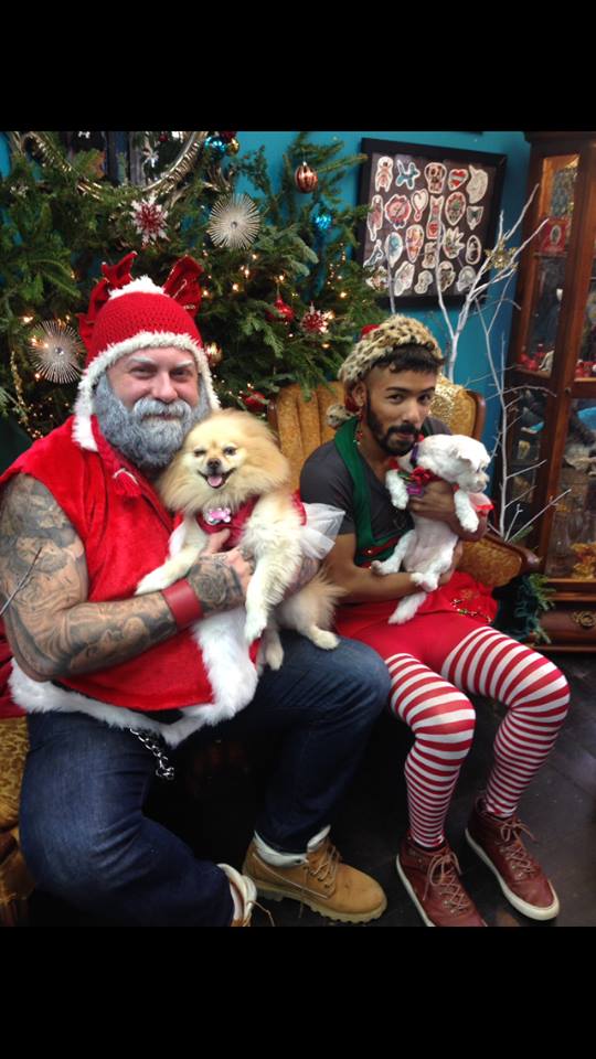 Кошки в нашей жизни. Кошки и все, что с ними связано.