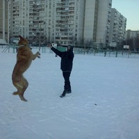 Сергей Шанин