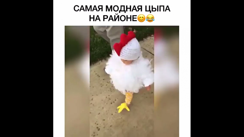 Цыпа😂😻