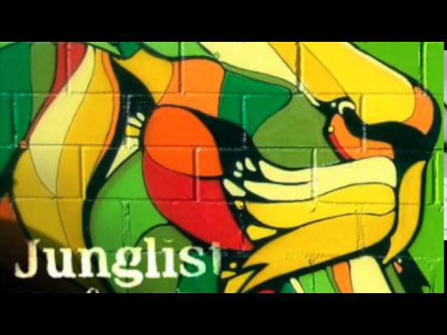 Babylon Ragga Jungle Mix