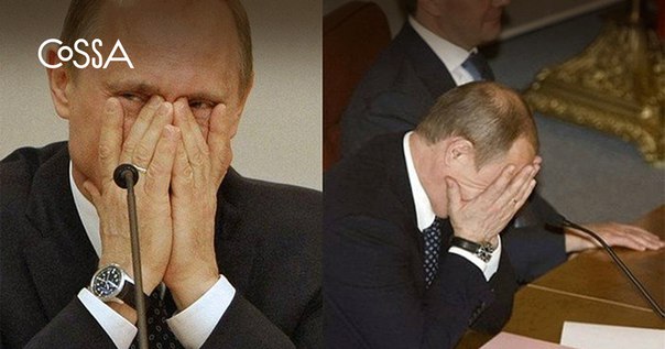 А — Альтернатива. «Закупки+» могут стать аналогом госзакупок для малого и среднего бизнеса.