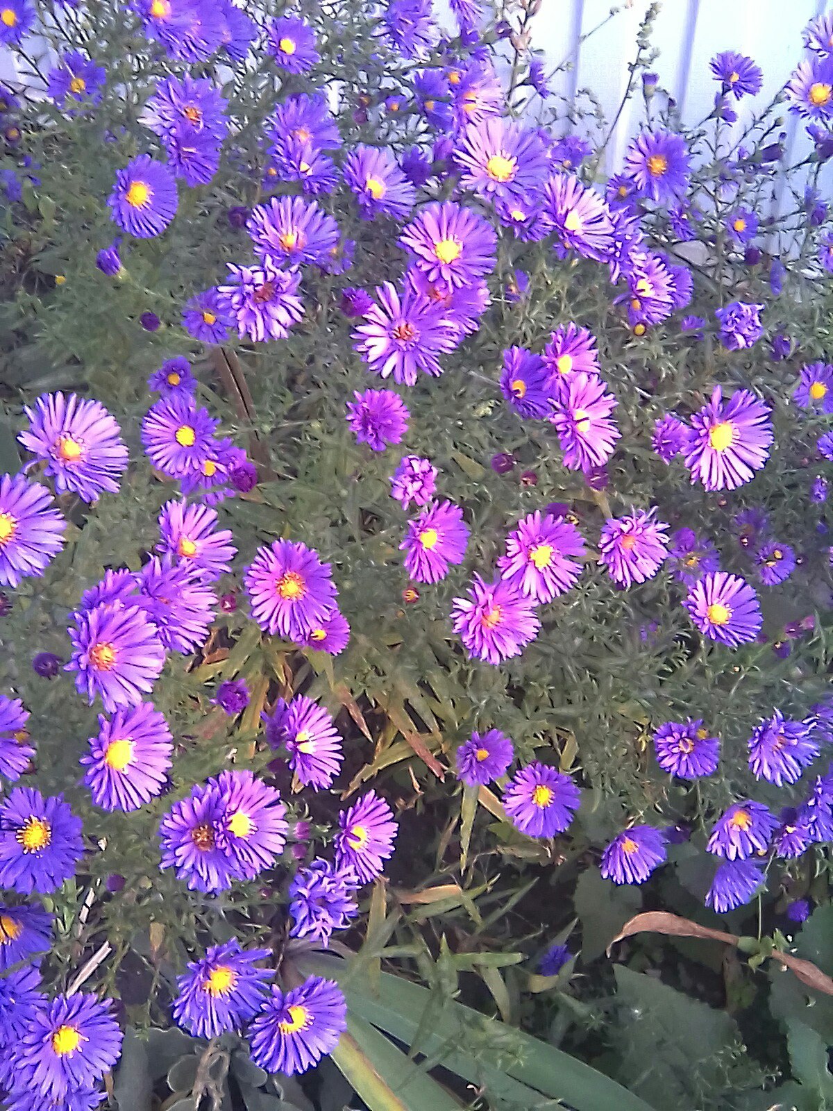 фотография из вКонтакте