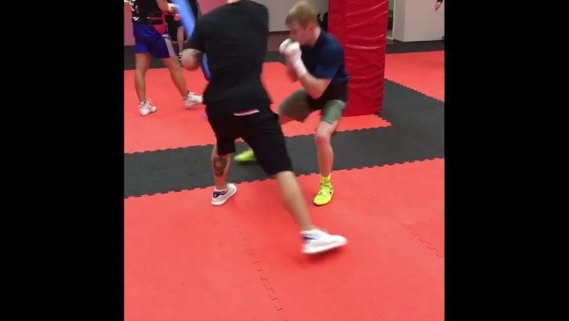 24 тренировки