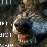 Евгений Мамедов | 