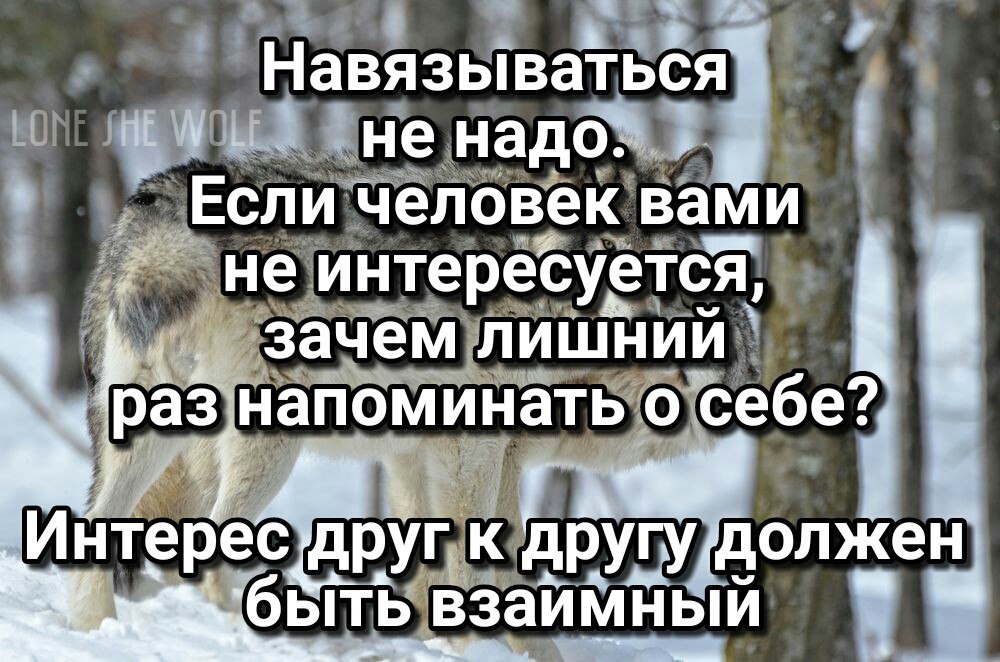 Не навязывайся и не привязывайся цитаты картинки с надписями
