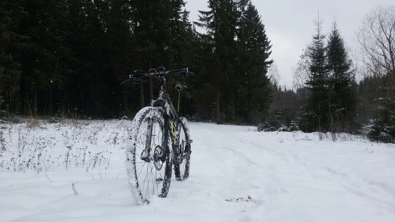 _aMuD3HLO8U.jpg