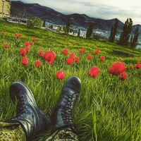 Макс Архипов