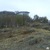 Фото пользователя Банное