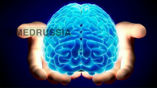 Человеческий мозг — самый продуктивный в живой природе. Он составляет до 2,5% массы тела и способен развиваться на протяжении всей жизни. Если взглянуть на мозг с точки зрения науки, станет понятно, что каждый человек — настоящий супермен. 