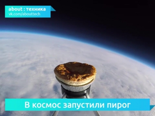 В космос запустили пирог с картошкой и мясом