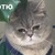 Фото пользователя Светочка