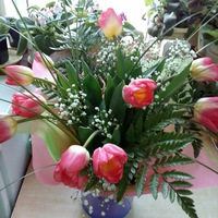 Ирина Вавилова