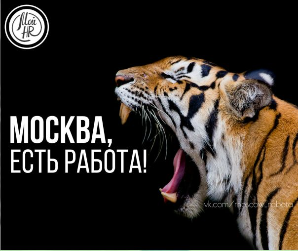 Фото: Ищете работу в Москве Подпишитесь на