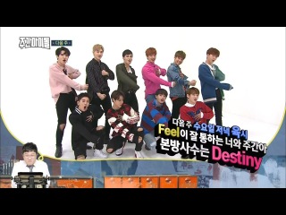 171018 주간아이돌 다음주 예고 프듀 동창회 - 정세운, MXM(임영민,김동현), 사무엘, JBJ (10Ꮲ