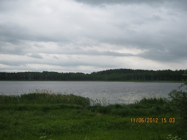 Миша Миша, Россия, Пушкинские Горы