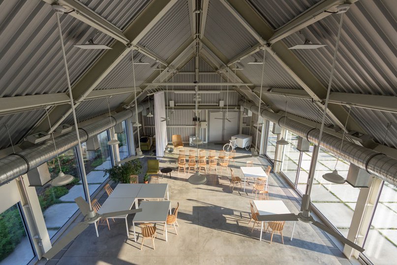 autori references local sheds to create light-filled