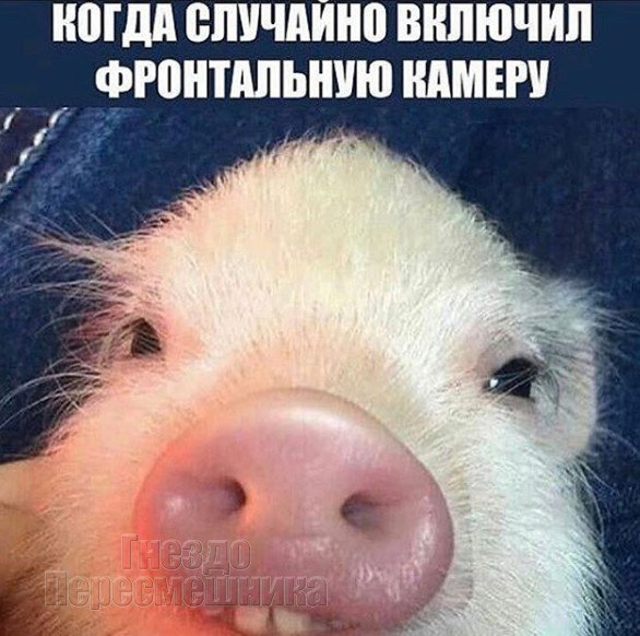 https://pp.userapi.com/c837224/v837224101/1cdb9/H6rYr0_ahio.jpg