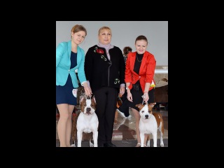 29.01.2016. NDS. Kharkov, Ukraine. Judge Tatyana Shiyan. Ukraine