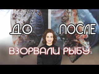 КАЖДЫЙ ХОТЕЛ СДЕЛАТЬ ЭТО С ШУРЫГИНОЙ / ВЗОРВАЛИ РЫБУ КОРСАРОМ 8